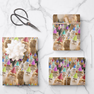 Feuille De Papier Cadeau Fête de chats