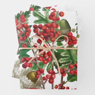 Feuille De Papier Cadeau Fête de Noël Berries Acorn À feuillage persistant