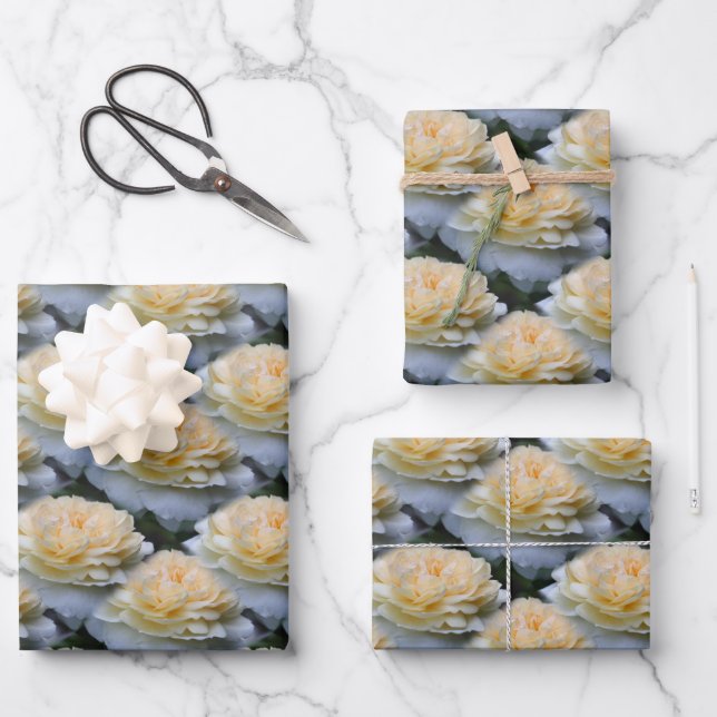 Feuille De Papier Cadeau Fleur de rose jaune doux Nature Motif   (Recto)