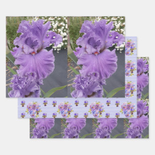 Feuille De Papier Cadeau Fleur d'Iris Fleurs Violet Lavande Lilas Floral