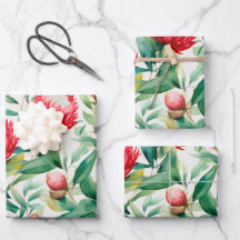 Fleur Protea autochtone australienne