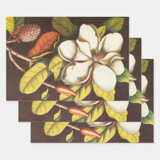 Feuille De Papier Cadeau Fleurs de magnolia vintage avec graines