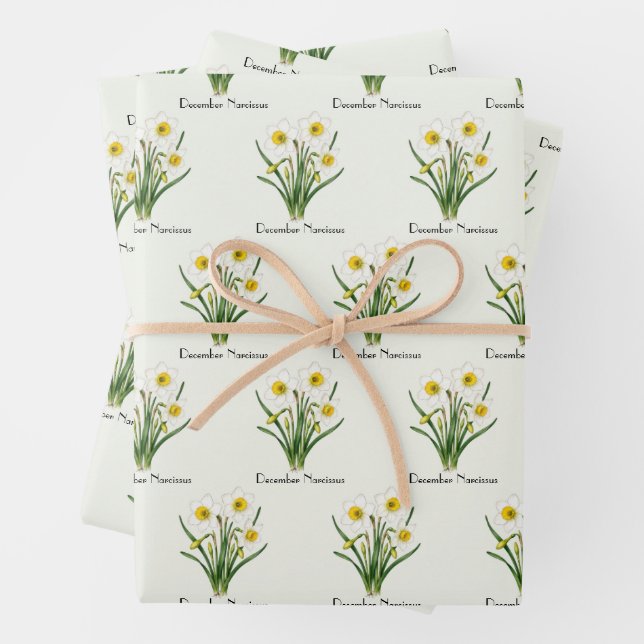 Feuille De Papier Cadeau Fleurs de Narcisse de Décembre (En situation)