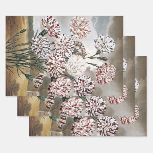 Feuille De Papier Cadeau Fleurs de Œillet Panaché Vintage avec Ciel Gris