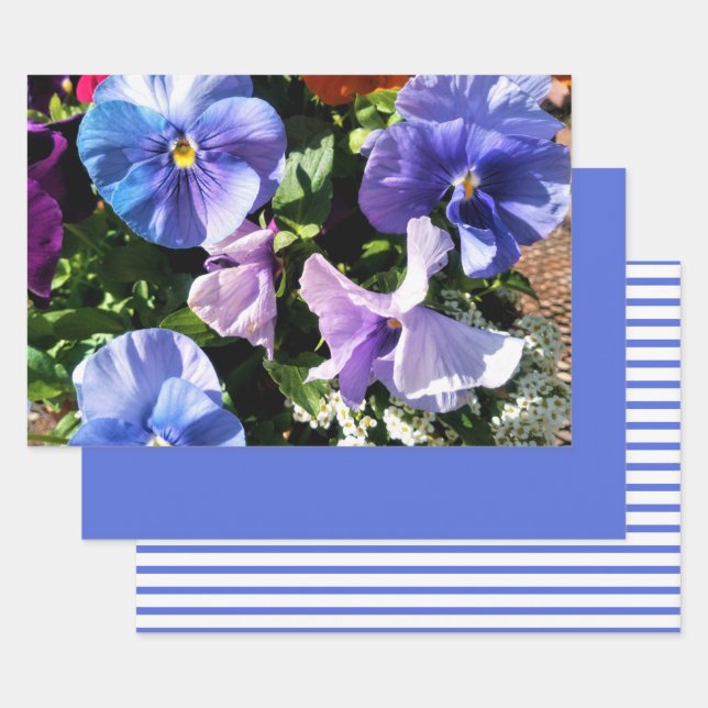 Feuille De Papier Cadeau Fleurs de pensée violettes rayures et uni  (Lot)