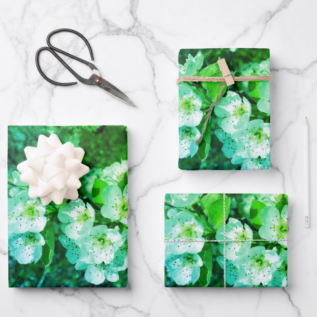 Feuille De Papier Cadeau Fleurs de poires blanches au printemps (Recto)