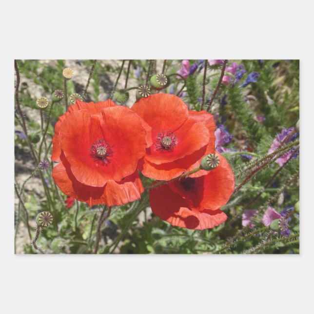 FEUILLE DE PAPIER CADEAU FLEURS POPPY (Devant)
