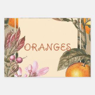 Feuille De Papier Cadeau Fleurs Vintage et Oranges