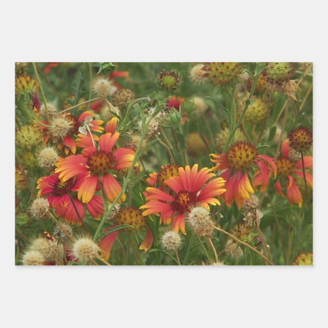 Feuille De Papier Cadeau Floral d'été (Devant 2)