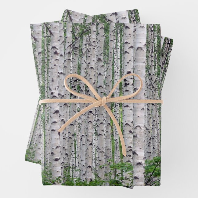 Feuille De Papier Cadeau Forêt de Birch Nature (En situation)