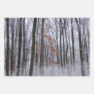 Feuille De Papier Cadeau Forêt huppée neige paysage d'hiver Photographie