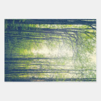 Forêt mystique