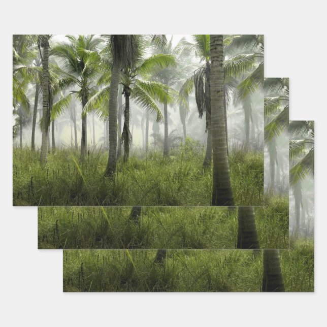 Feuille De Papier Cadeau Forêt tropicale de palmiers (Lot)