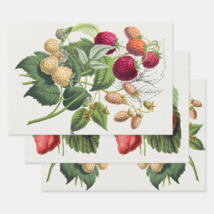 Feuille De Papier Cadeau fraise vintage