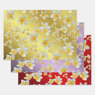 Feuille De Papier Cadeau frangipanier, pétale, fleur, design, fleur, fleurs