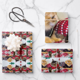 Feuille De Papier Cadeau Frères