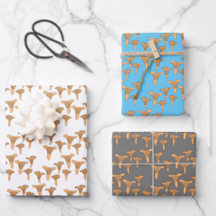 Feuille De Papier Cadeau Fun Fungi Chanterelle Champagne Motif Cadeau
