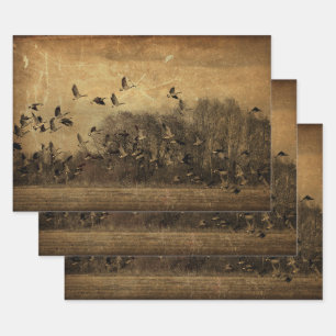 Feuille De Papier Cadeau Geese Vintage Sepia Texture Découpage