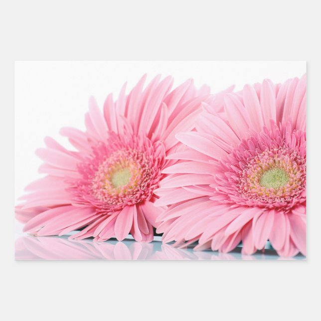 Feuille De Papier Cadeau Gerbera Rose Daisies Élégante Photographie (Devant)