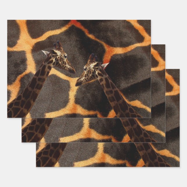 Feuille De Papier Cadeau Giraffes exotiques, Ensemble d'enveloppes cadeaux (Lot)