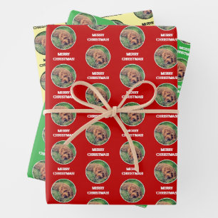 Feuille De Papier Cadeau Goldendoodle