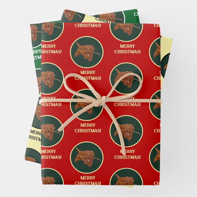 Feuille De Papier Cadeau Goldie Golden Doodle (En situation)