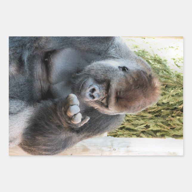 FEUILLE DE PAPIER CADEAU GORILLA FRAÎCHE (Devant)