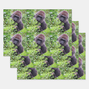 Feuille De Papier Cadeau Gorilla Peek-A-Boo