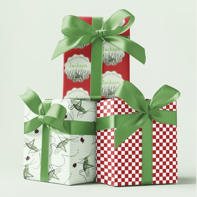 Feuille De Papier Cadeau Green Grasshopper & Ladybug Insectes pour enfants  (Cute Grasshopper Gift Wrap. Hand Drawn Grasshoppers  & Ladybugs, Red Checkered, Custom Kids Birthday)