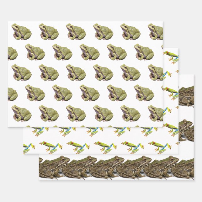 Feuille De Papier Cadeau Grenouilles (Lot)