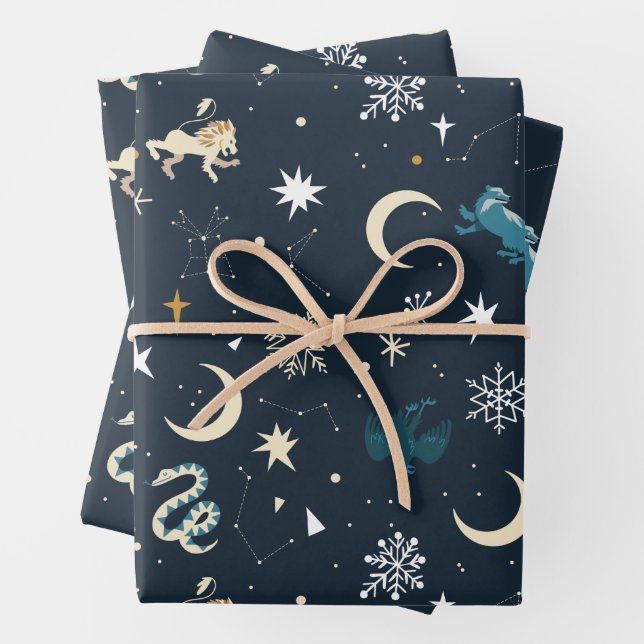 Feuille De Papier Cadeau Harry Potter | Motif de constellation d'hiver (En situation)