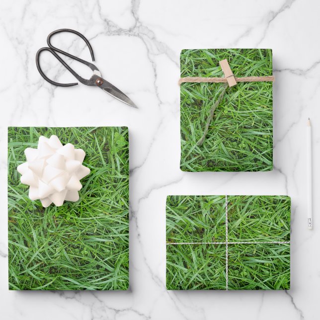 Feuille De Papier Cadeau Herbe Verte (Recto)