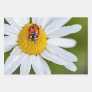 Feuille De Papier Cadeau Heureux diable avec cette coccinelle !