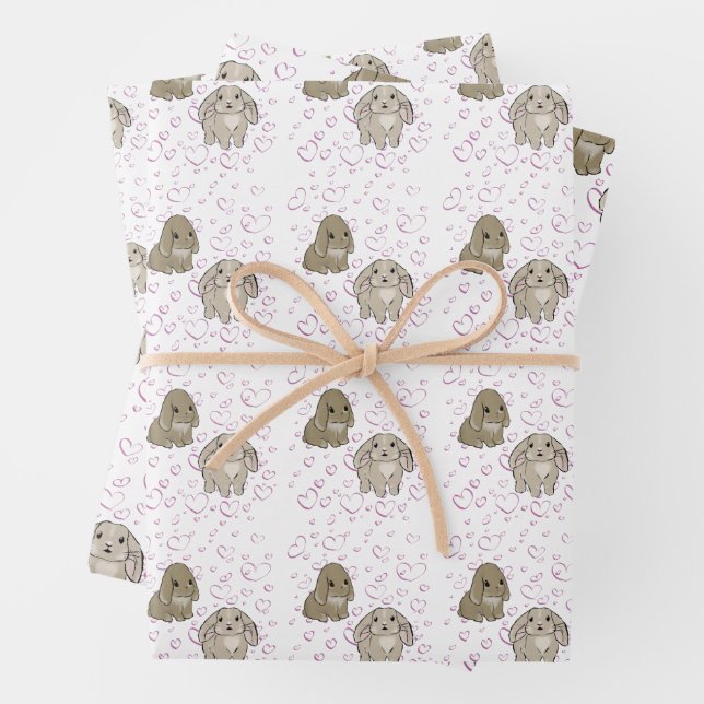 Feuille De Papier Cadeau Holland lop bunnies (En situation)