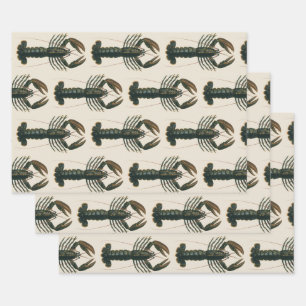 Feuille De Papier Cadeau Homard vintage, Marine Ocean Life Crustacean