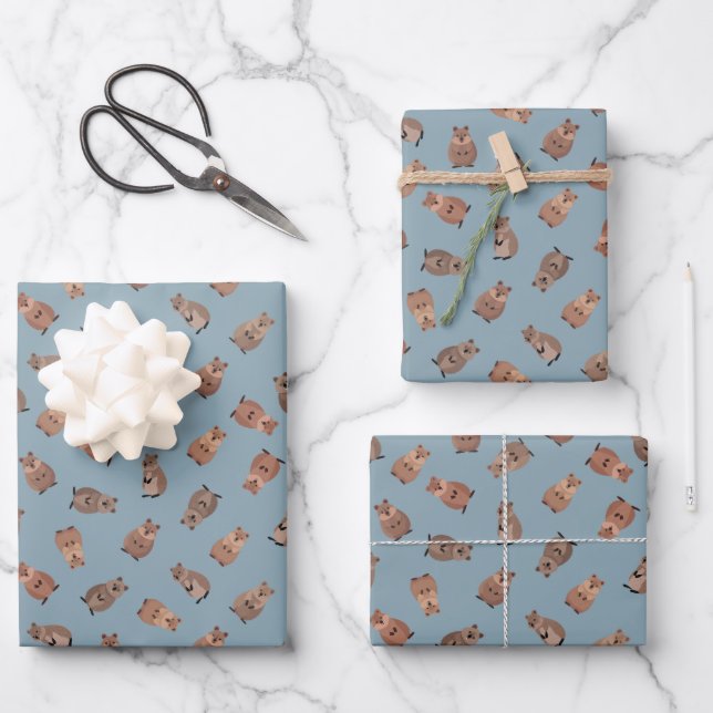 Feuille De Papier Cadeau Illustrated Quokkas on Light Gray-Blue (Recto)