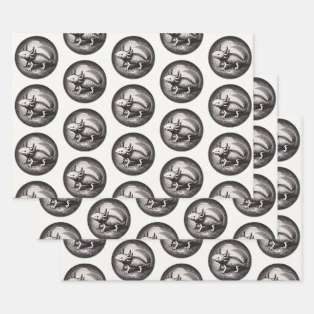 Feuille De Papier Cadeau Illustration Vintage Axolotl (Lot)