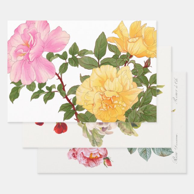 Feuille De Papier Cadeau Illustrations du trio Découpage Fleurs (Lot)