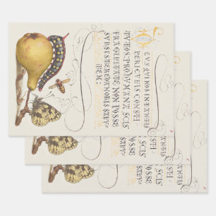 Feuille De Papier Cadeau Insectes de jardin, mouche, chenille, poire, mille