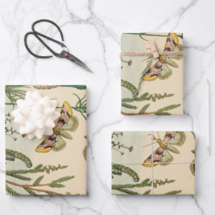 Feuille De Papier Cadeau Insectes de jardin vintage, papillons, chenilles