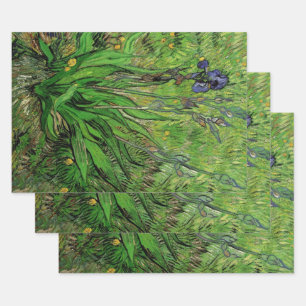 Feuille De Papier Cadeau Iris de Vincent van Gogh, fleurs de jardin vintage