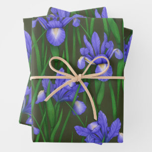 Feuille De Papier Cadeau Iris néerlandais