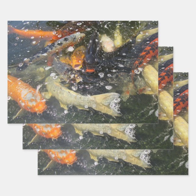 Feuille De Papier Cadeau Japonais Carpe Koi Poisson Natation (Lot)