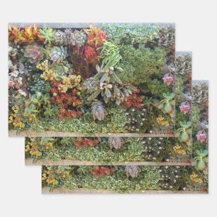 Feuille De Papier Cadeau Jardin Succulent 2