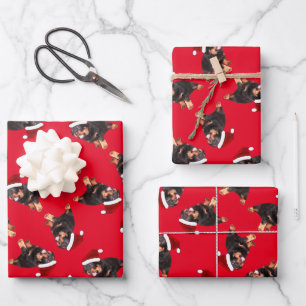 Feuille De Papier Cadeau Jolie Rottweiler Chiot portant un dessin de Noël C