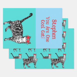 Feuille De Papier Cadeau Joyeux anniversaire Vous Cool Tabby Chat Mens Mari