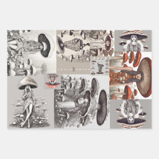 Feuille De Papier Cadeau La Dame de Champagne Vogue