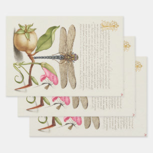 Feuille De Papier Cadeau La vie du jardin, Libellule, Poire, Œillet et Inse