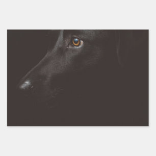 Feuille De Papier Cadeau laboratoire noir