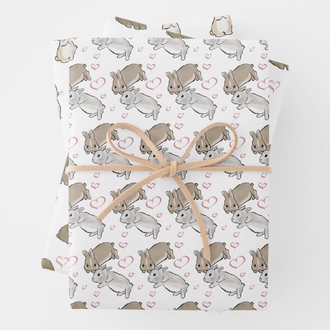 Feuille De Papier Cadeau Lapin différent (En situation)